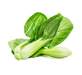 Chinese cabbage